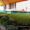WhatsApp Image 2025-02-16 at 2.28.13 PM (1)